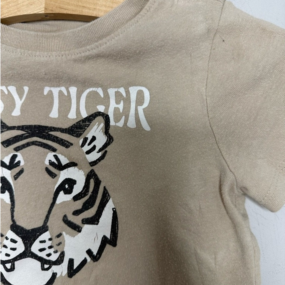 cat & jack x old navy camo tiger boys set 2Y