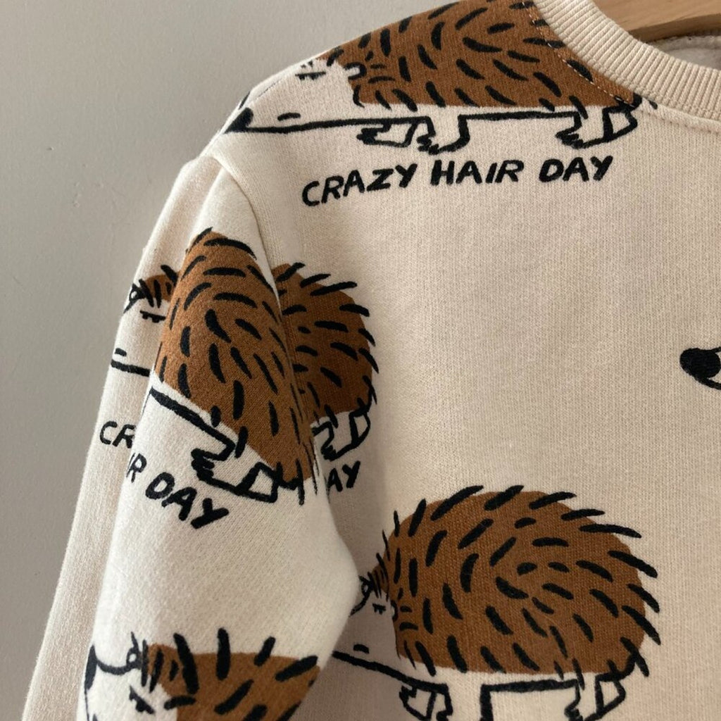 zara sweatshirt porcupine graphic 4-5Y