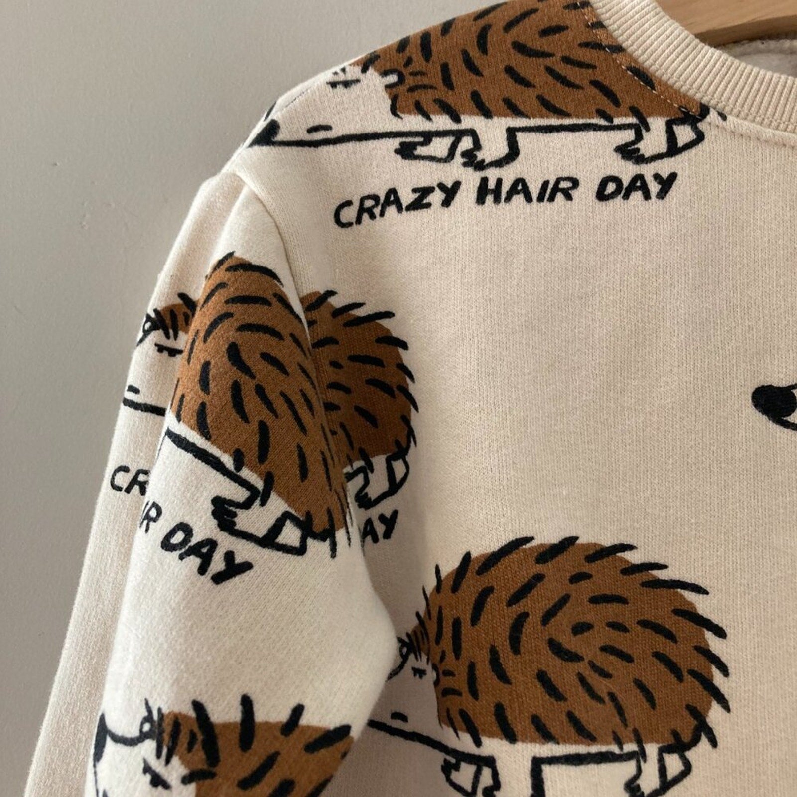 zara sweatshirt porcupine graphic 4-5Y