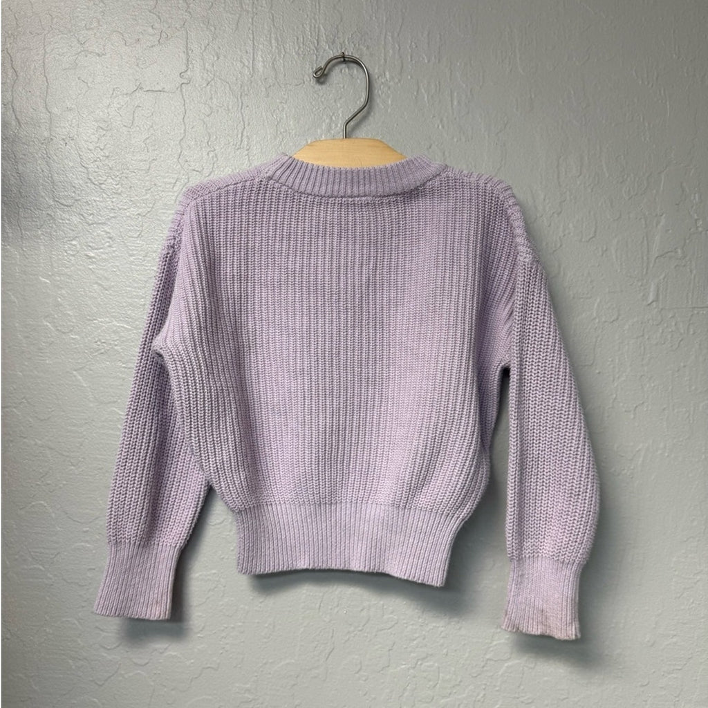 little bipsy girls' purple sweater 3-4Y