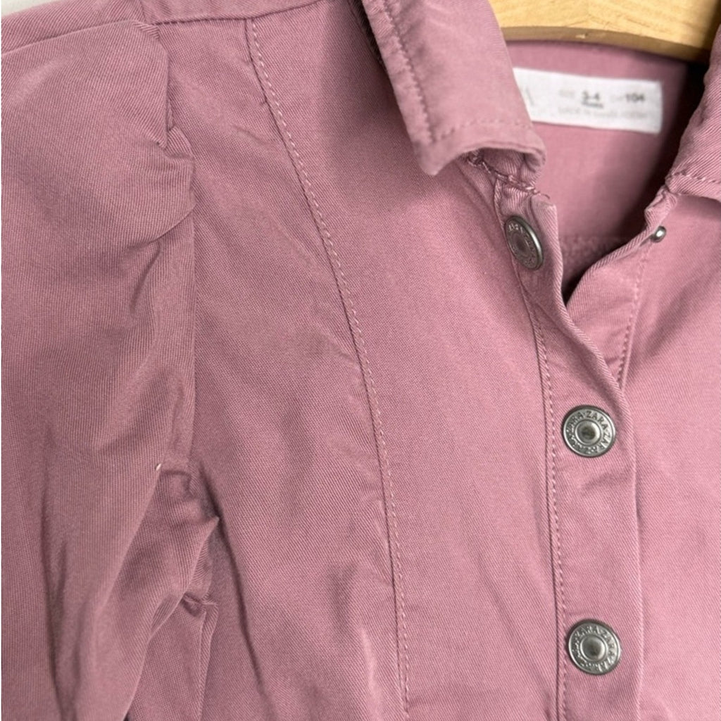 zara toddler purple collared dress 3-4Y