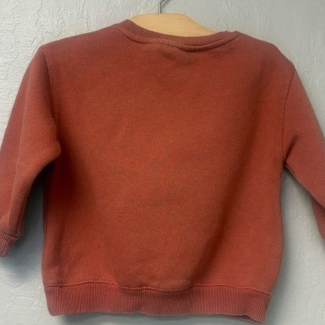 zara gender neutral sweatshirt 2-3Y