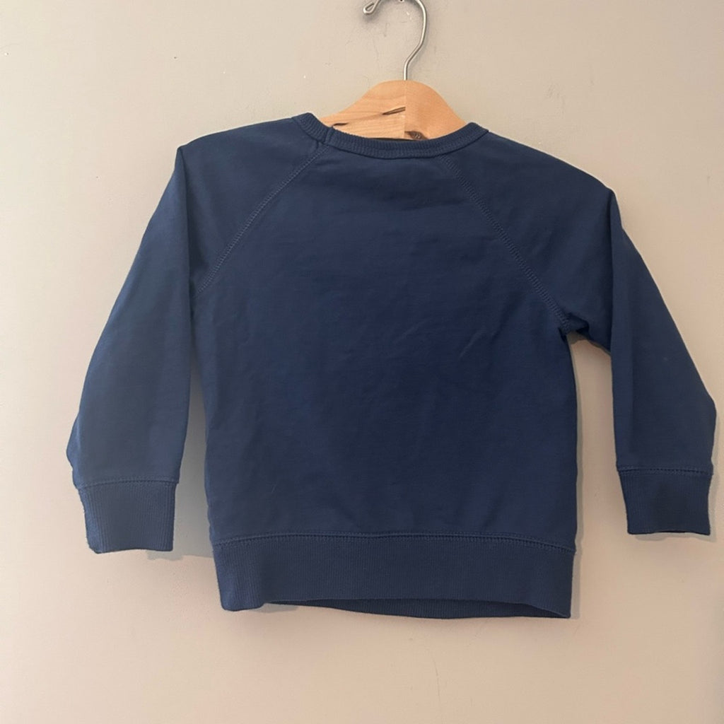 baby gap small fry sweatshirt 3Y