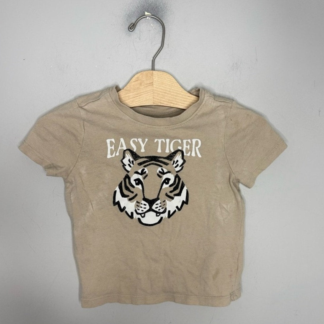 cat & jack x old navy camo tiger boys set 2Y