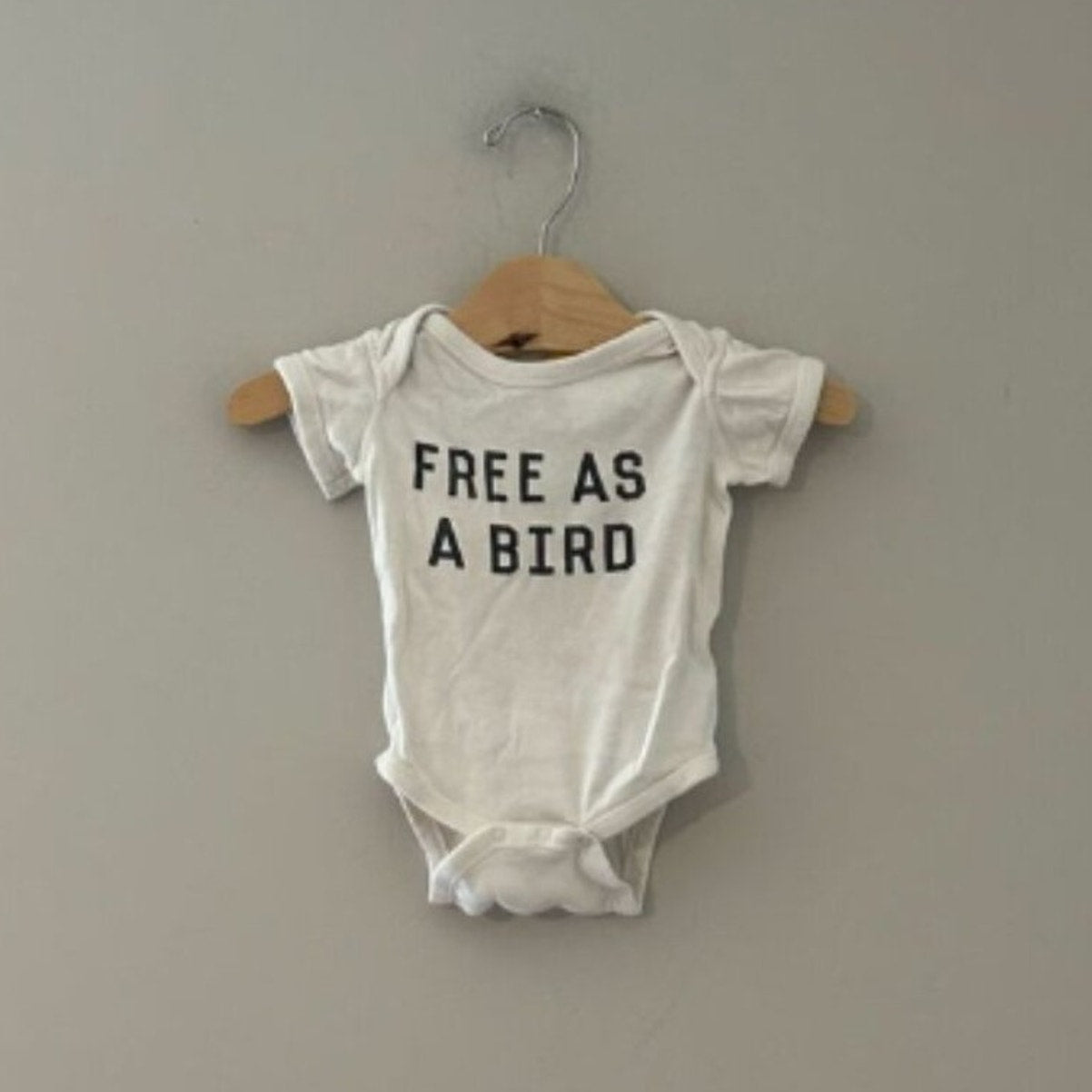 the bee & the fox onesie 6M