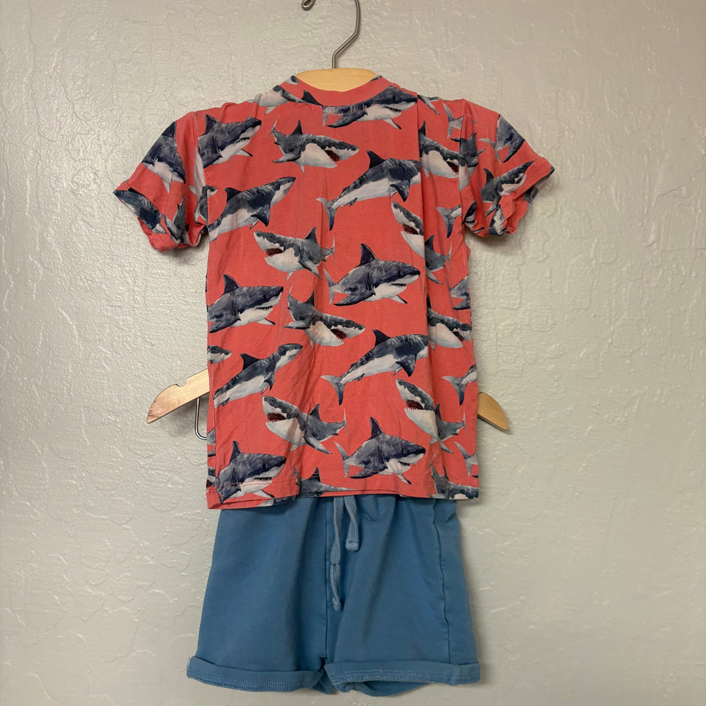 bums and roses set pink shark pint top matching blue shorts 3Y