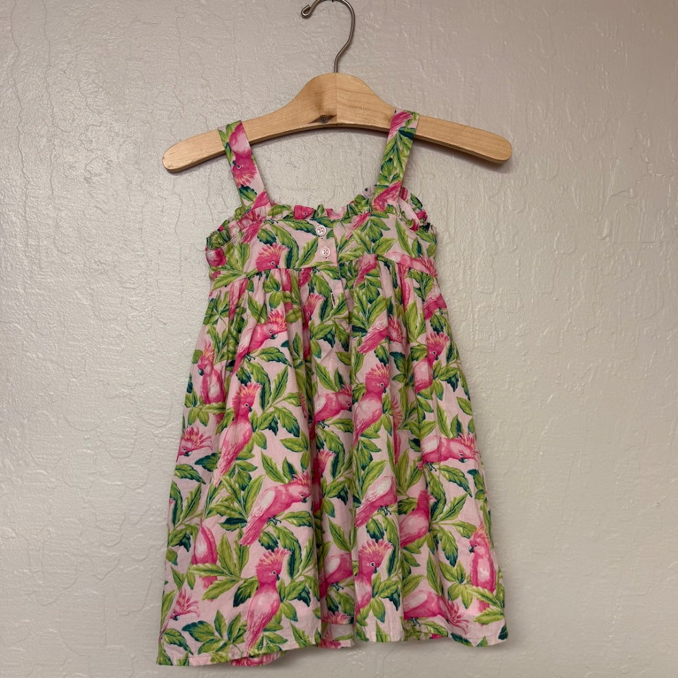 janie and jack floral dress 3Y