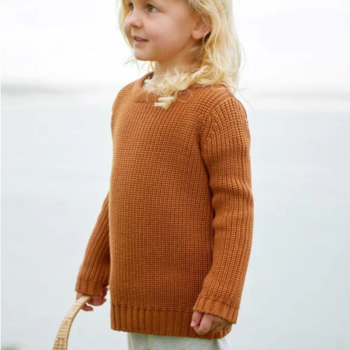 nature baby brown sweater 12-18M