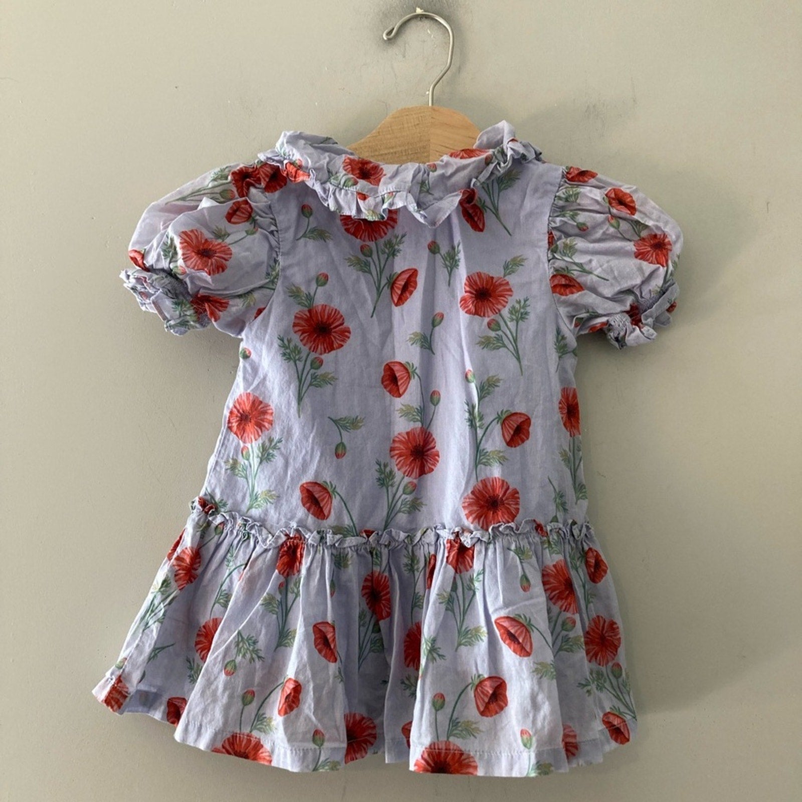 gingersnaps girls' floral dress 18M