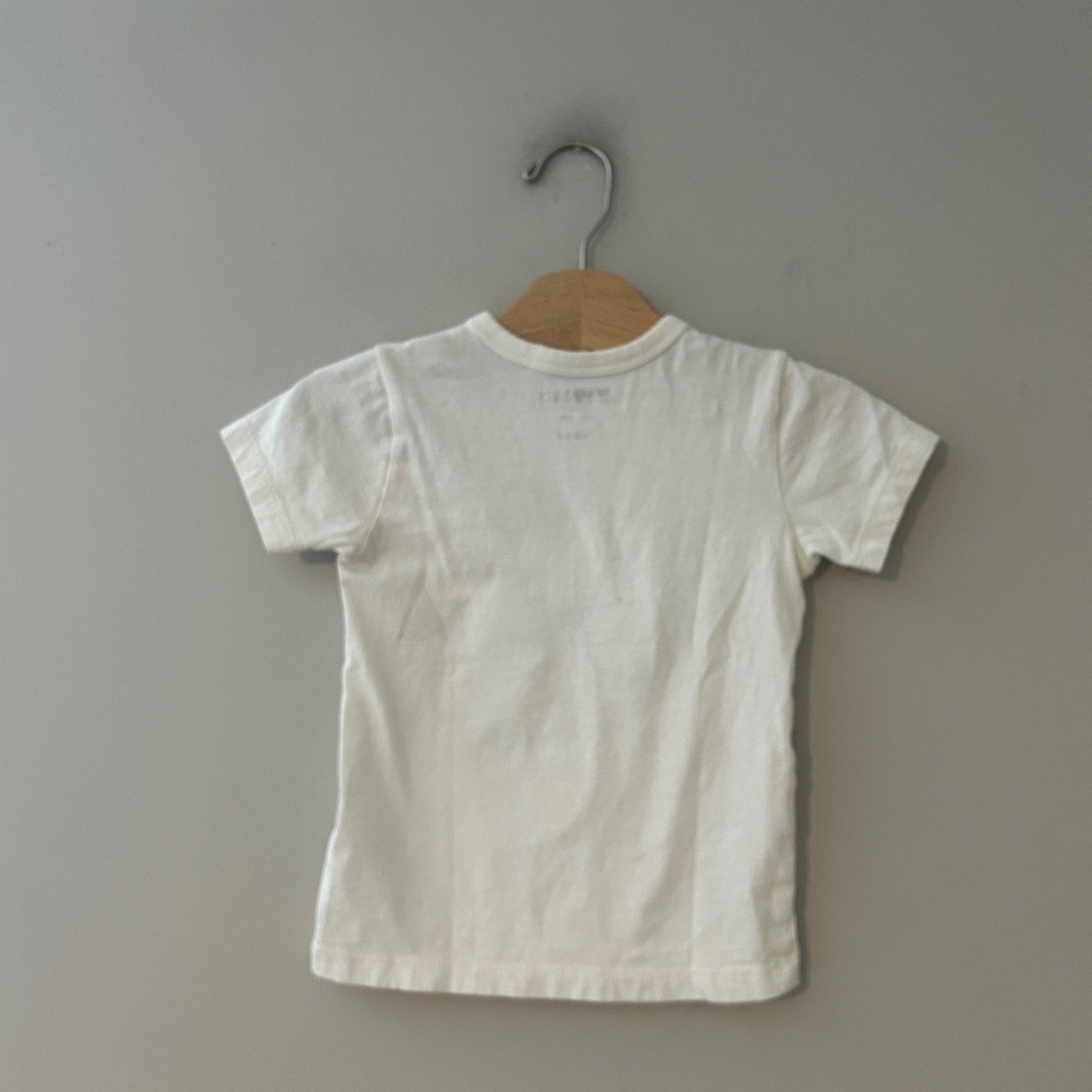 crewcuts golden retriever tee 2-3Y