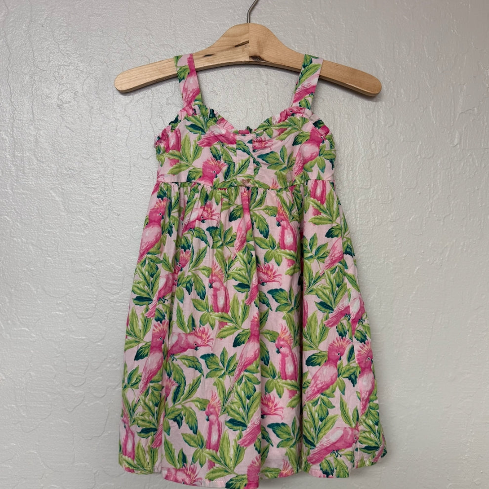 janie and jack floral dress 3Y
