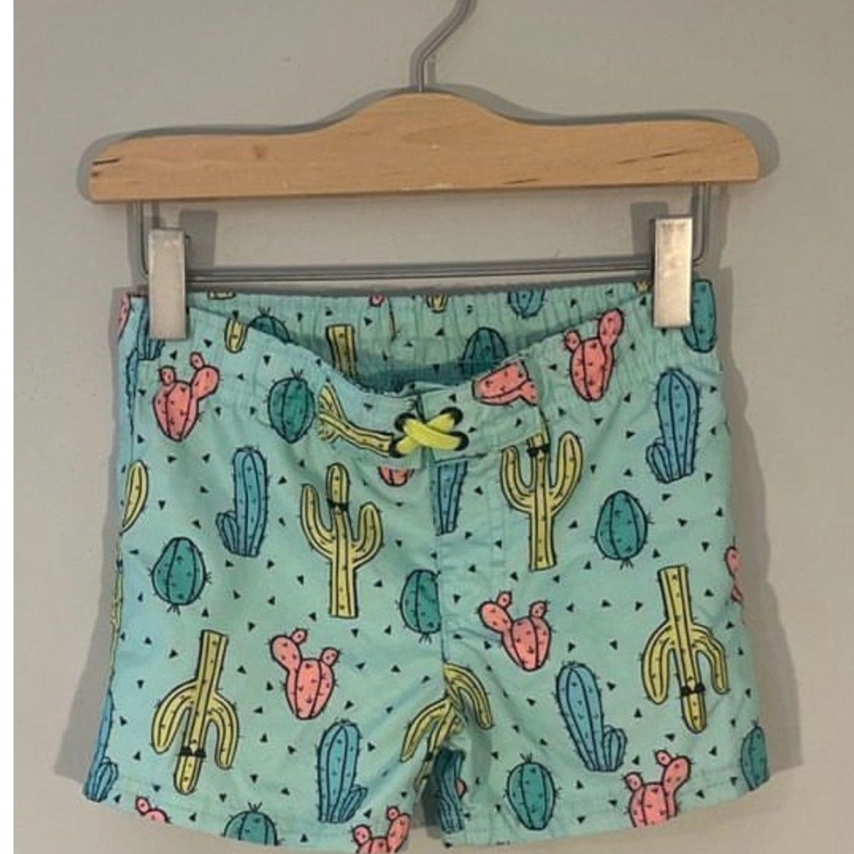 cat & jack boys' cactus swim trunks 2T