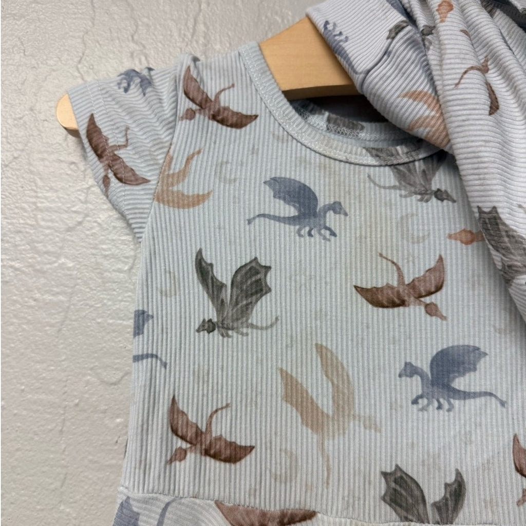 little haven dragon dress with bloomers 12-18M