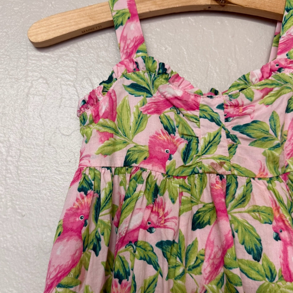 janie and jack floral dress 3Y