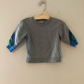 hanna andersson boys' gray sweatshirt 3Y