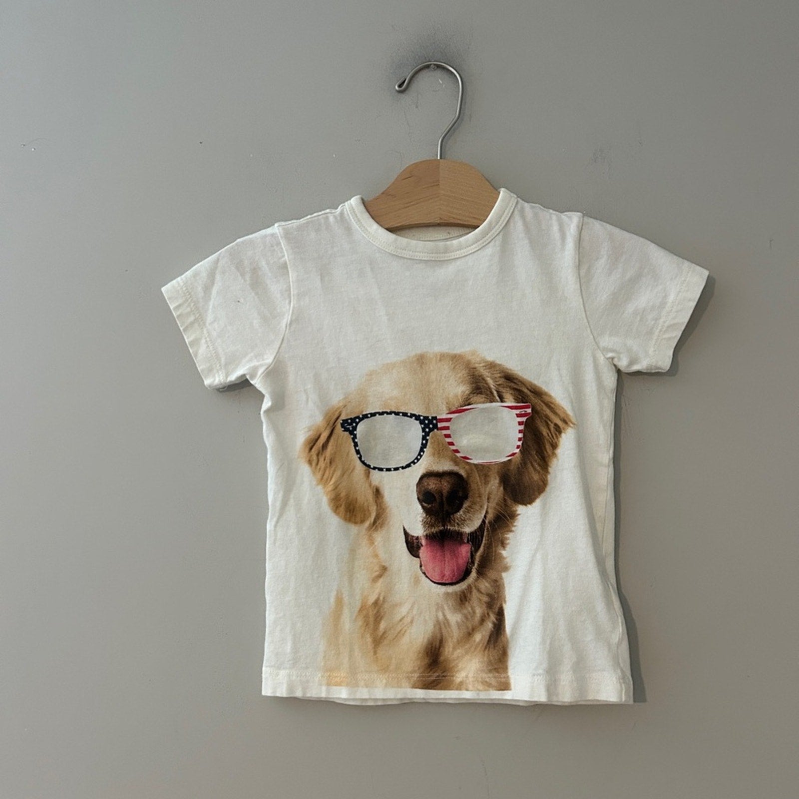 crewcuts golden retriever tee 2-3Y