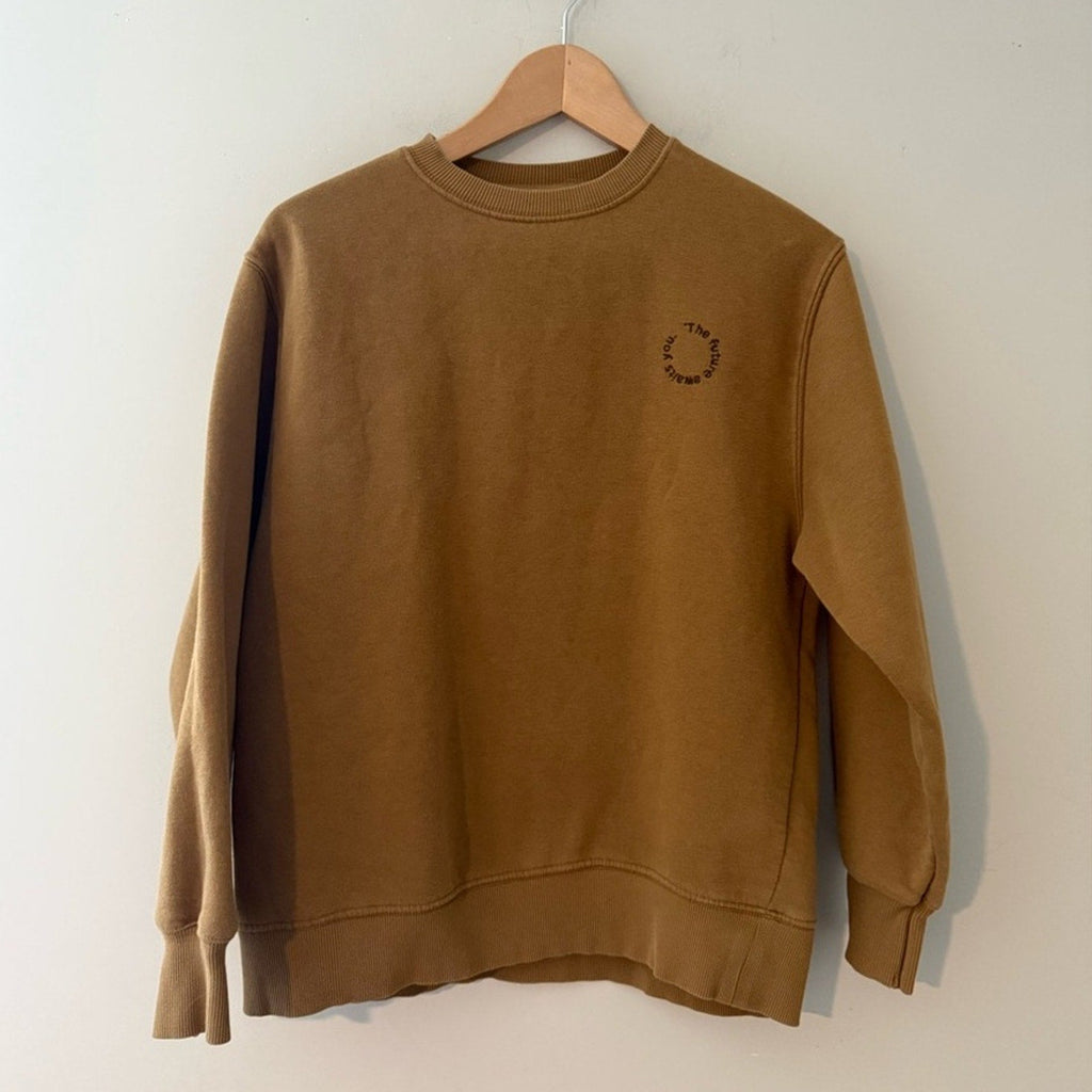 zara brown sweatshirt 13-14Y