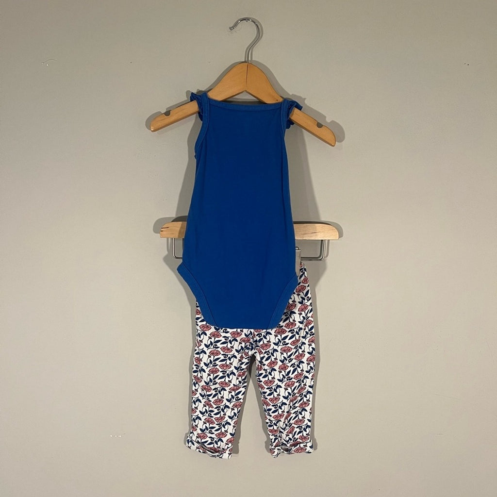 carter's girls' blue floral set 9M