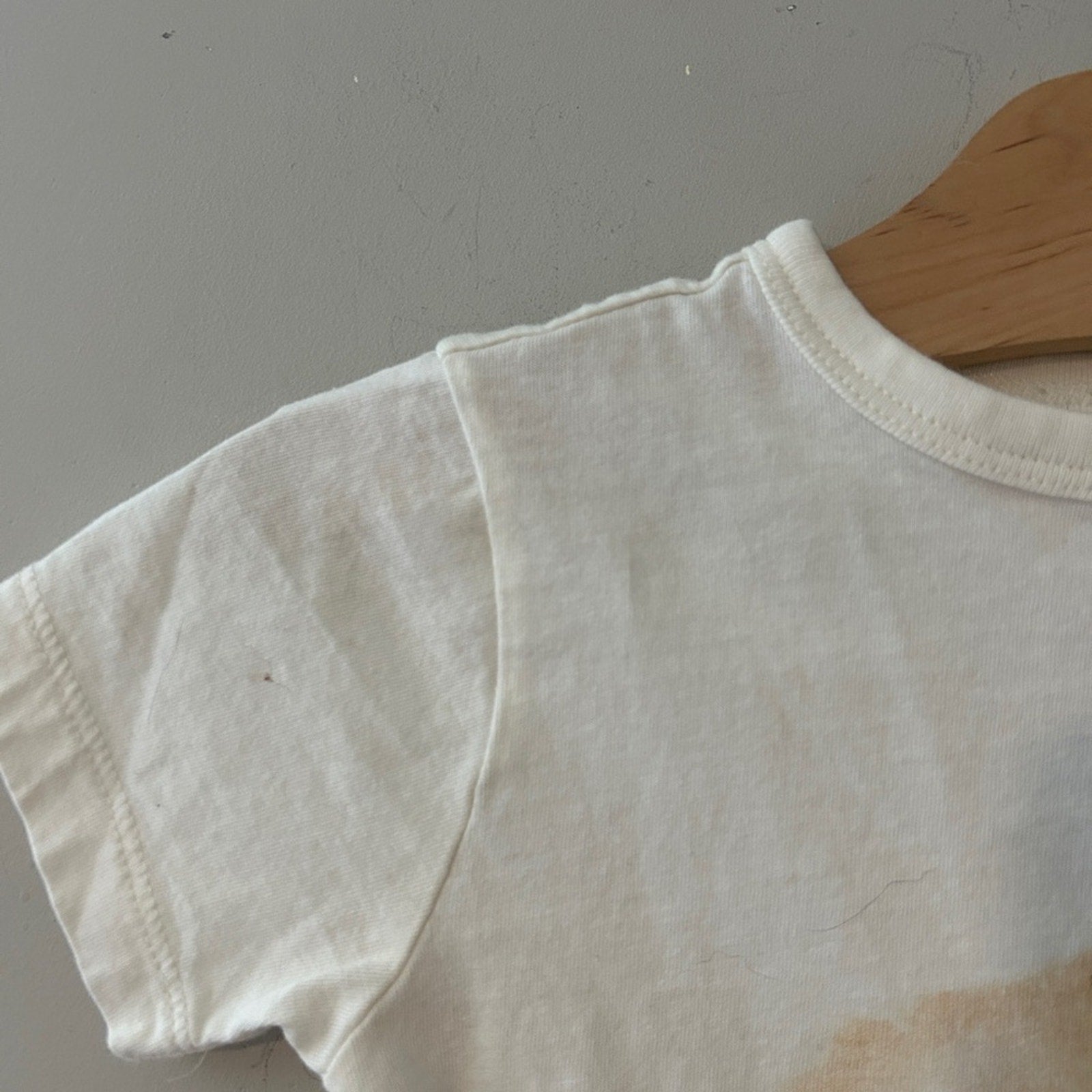 crewcuts golden retriever tee 2-3Y