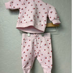 janie and jack pink floral set 0-3M