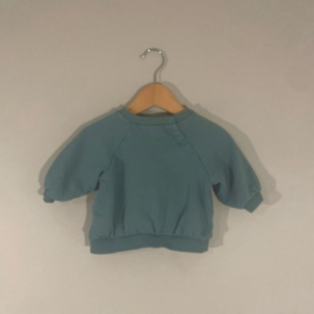 h&m nature sweatshirt 6M