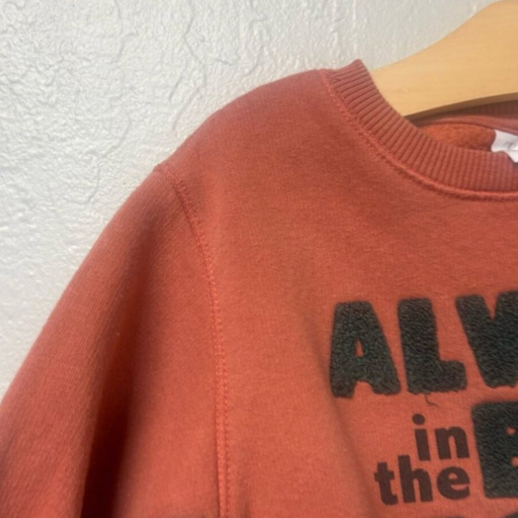 zara gender neutral sweatshirt 2-3Y