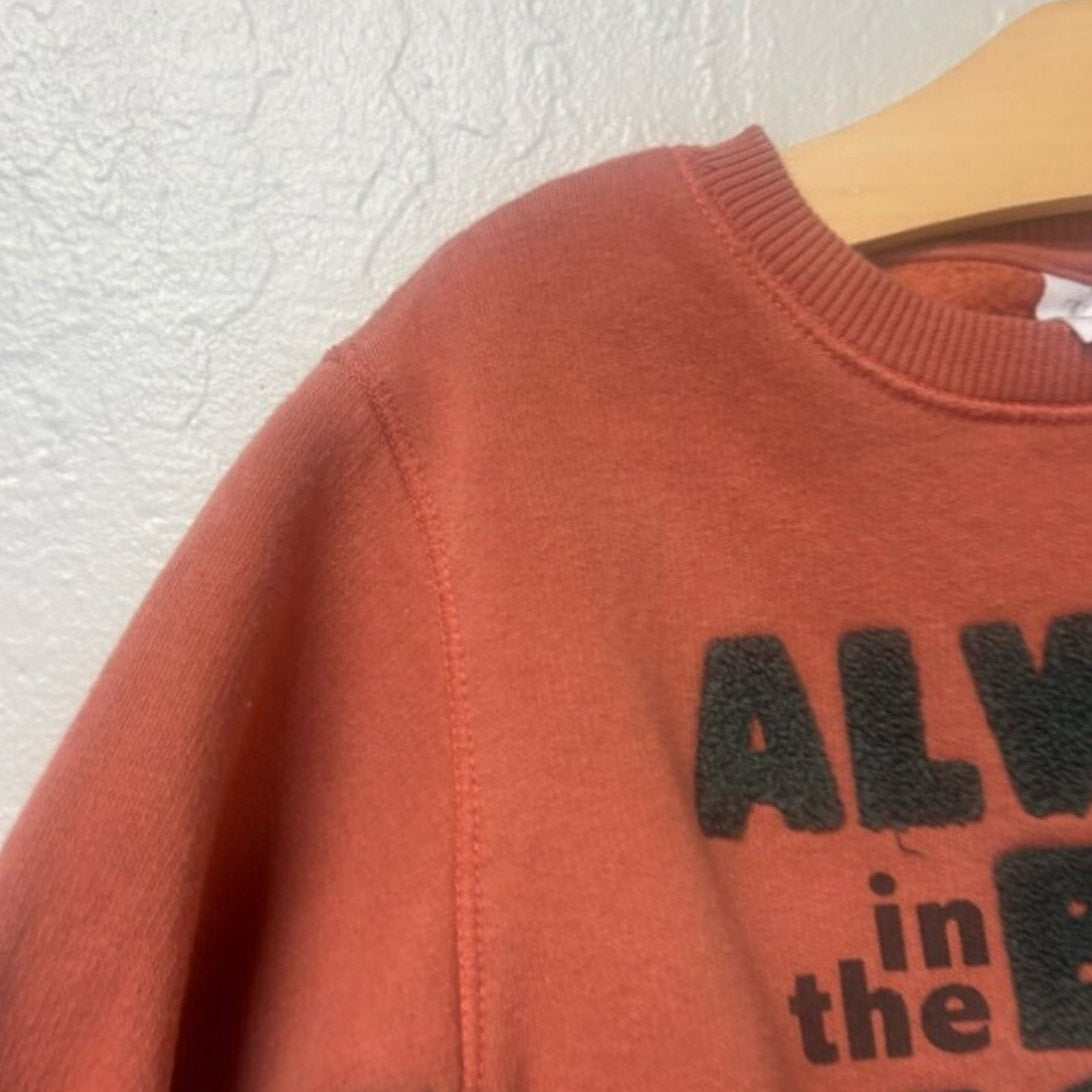 zara gender neutral sweatshirt 2-3Y