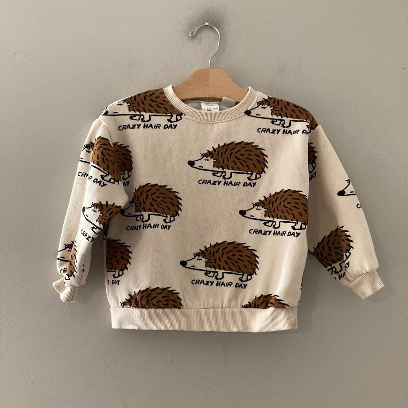 zara sweatshirt porcupine graphic 4-5Y