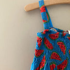 hanna andersson blue watermelon dress 8Y