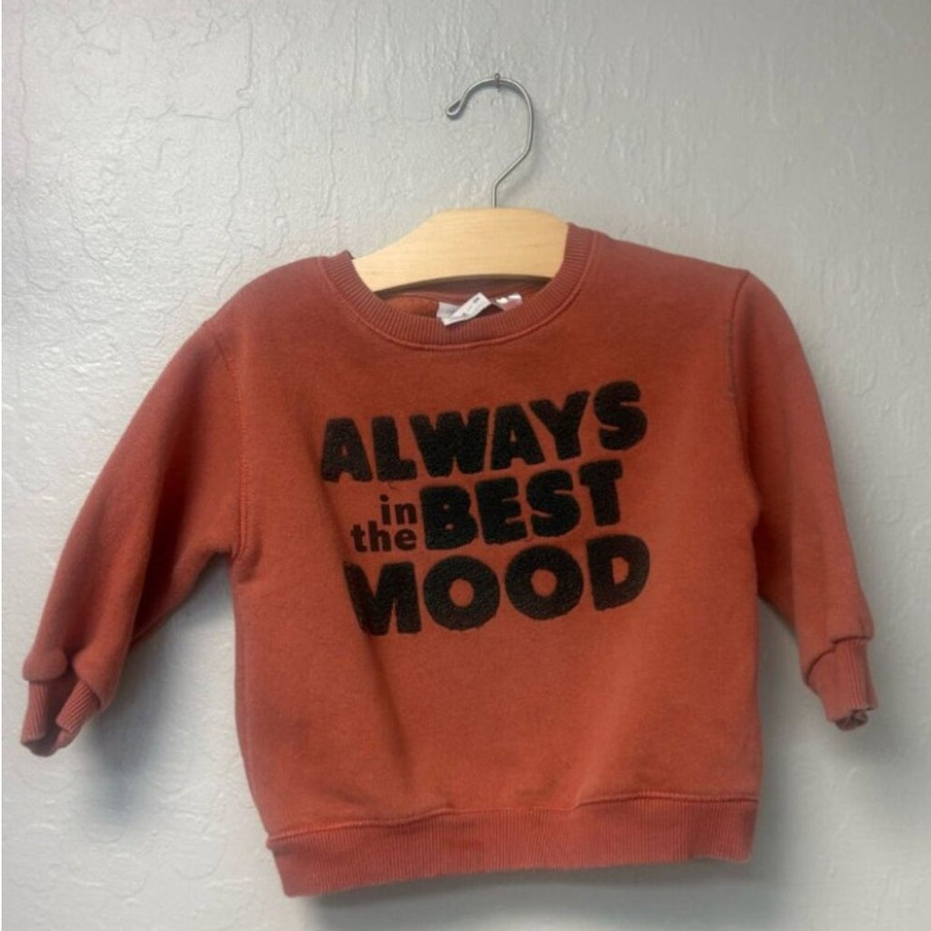zara gender neutral sweatshirt 2-3Y