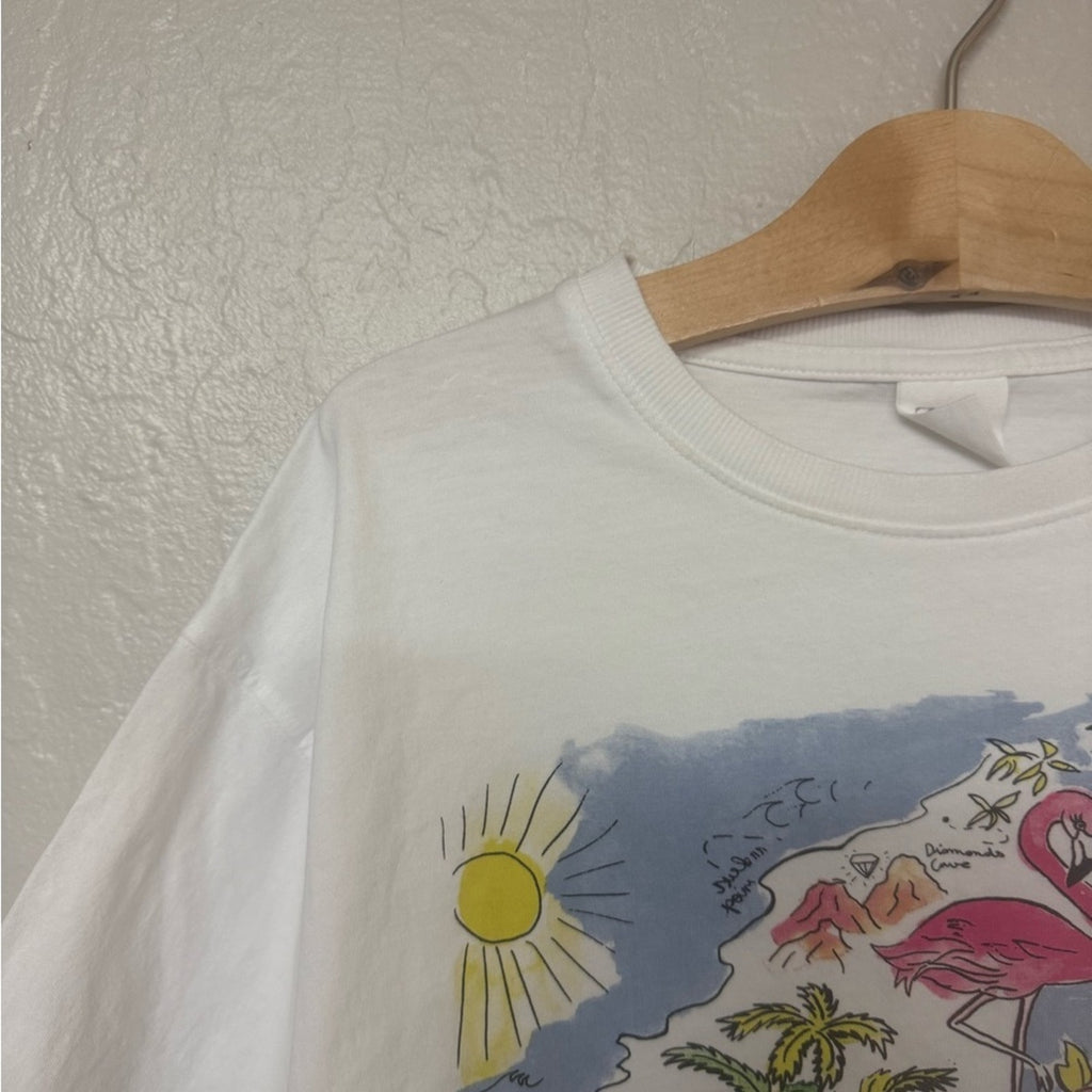 zara girls' flamingo adventure tee 13-14Y