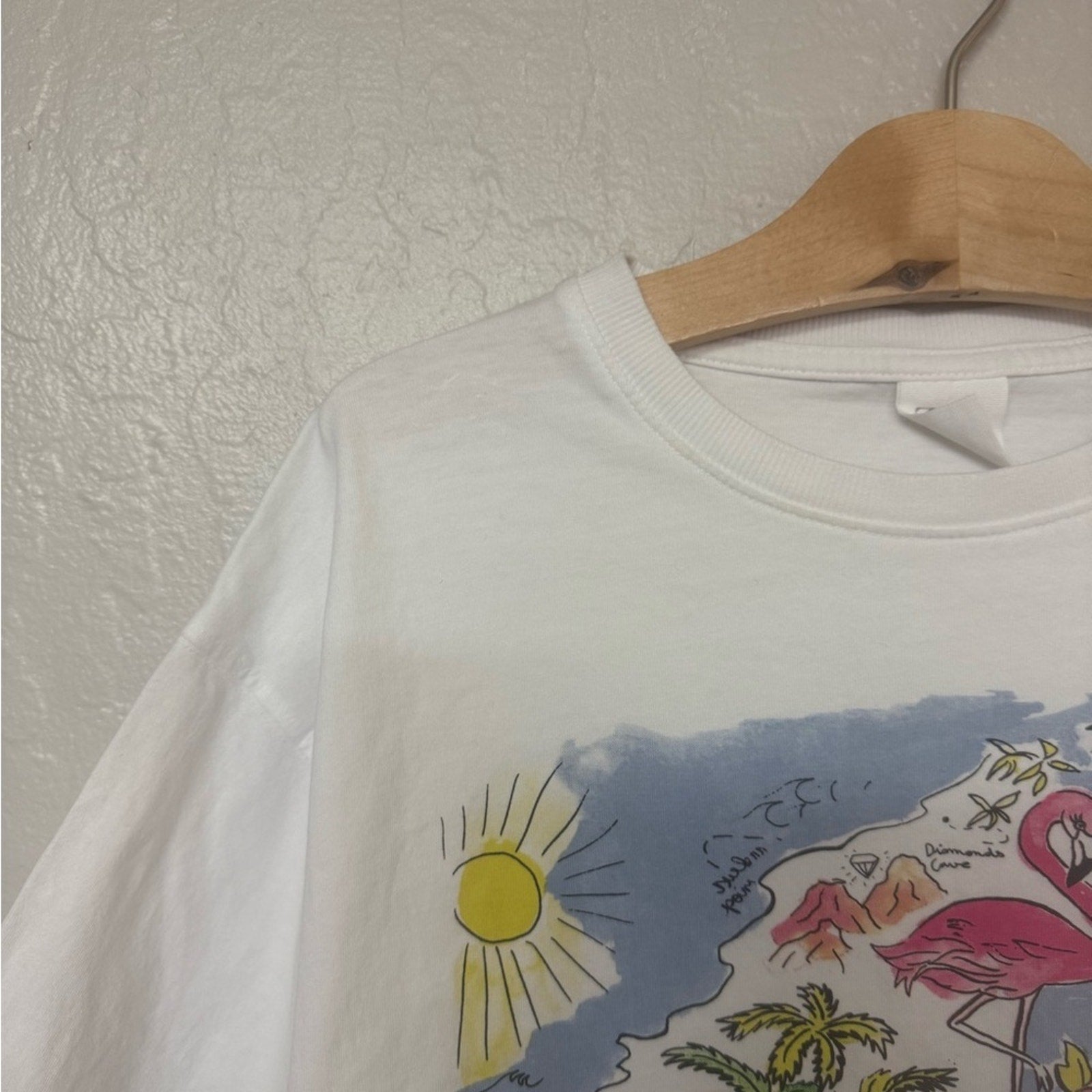 zara girls' flamingo adventure tee 13-14Y