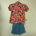 bums and roses set pink shark pint top matching blue shorts 3Y