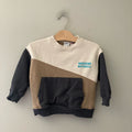 zara boys' colorblock sweatshirt 3-4Y