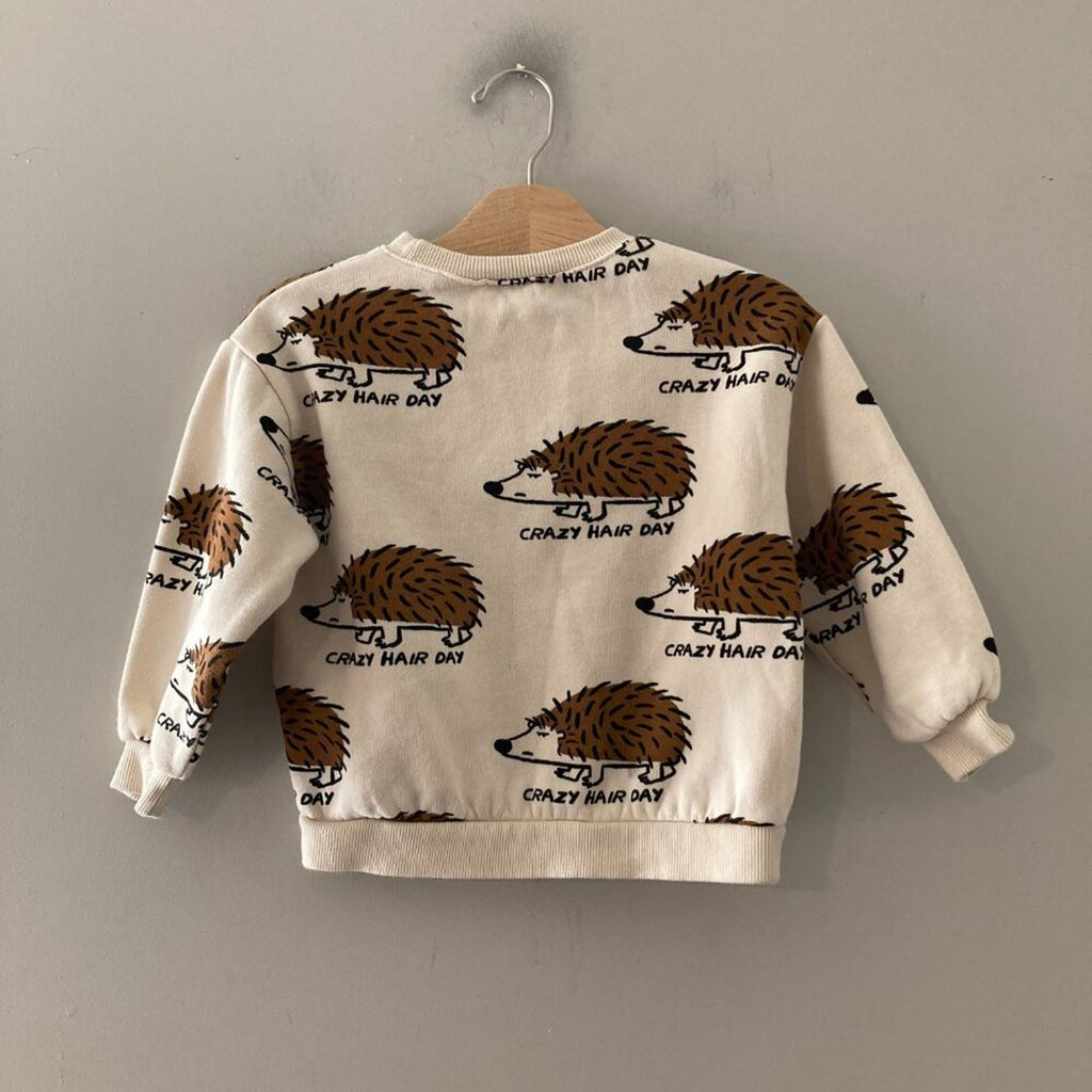 zara sweatshirt porcupine graphic 4-5Y