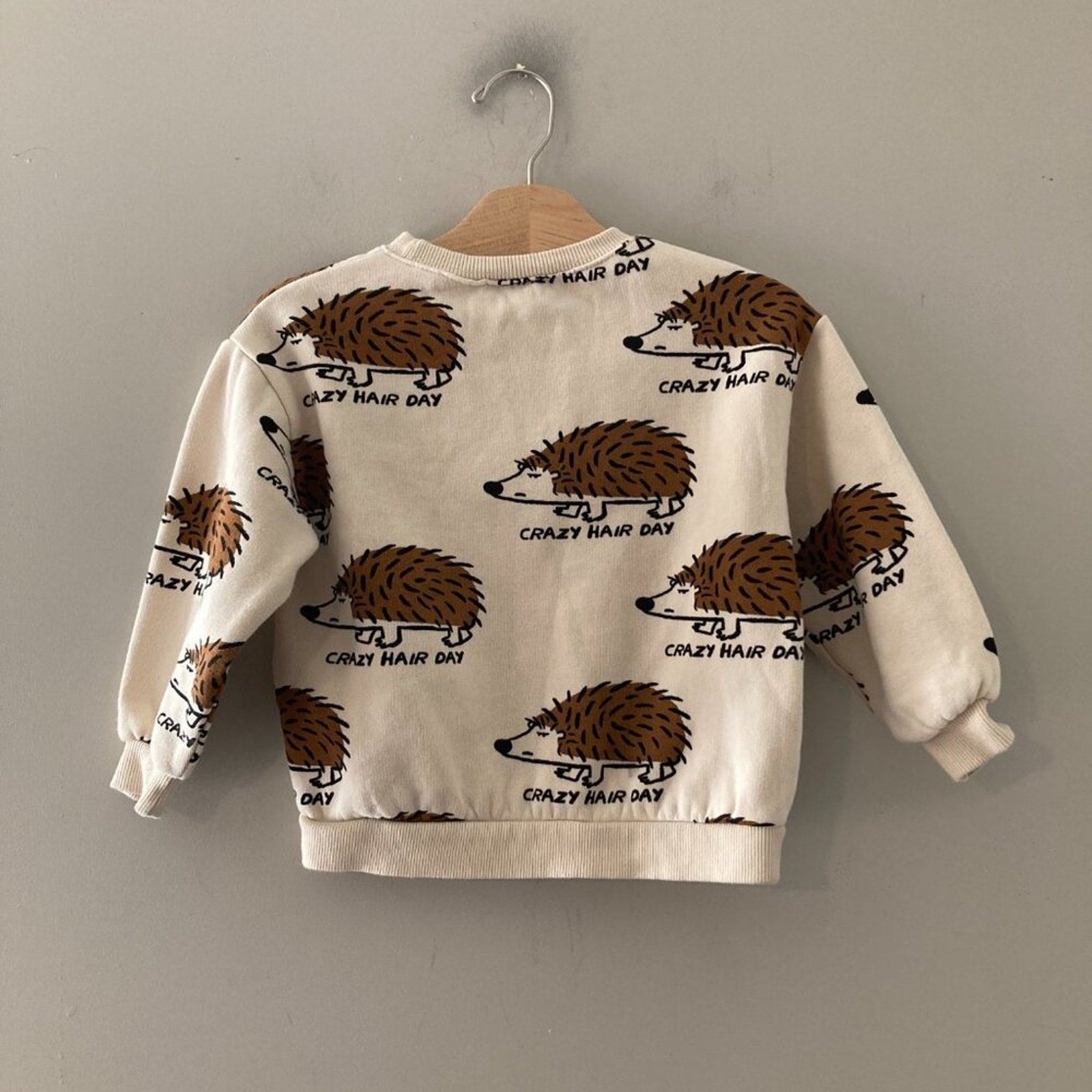 zara sweatshirt porcupine graphic 4-5Y