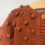 the blueberry hill brown cardigan 6-12M