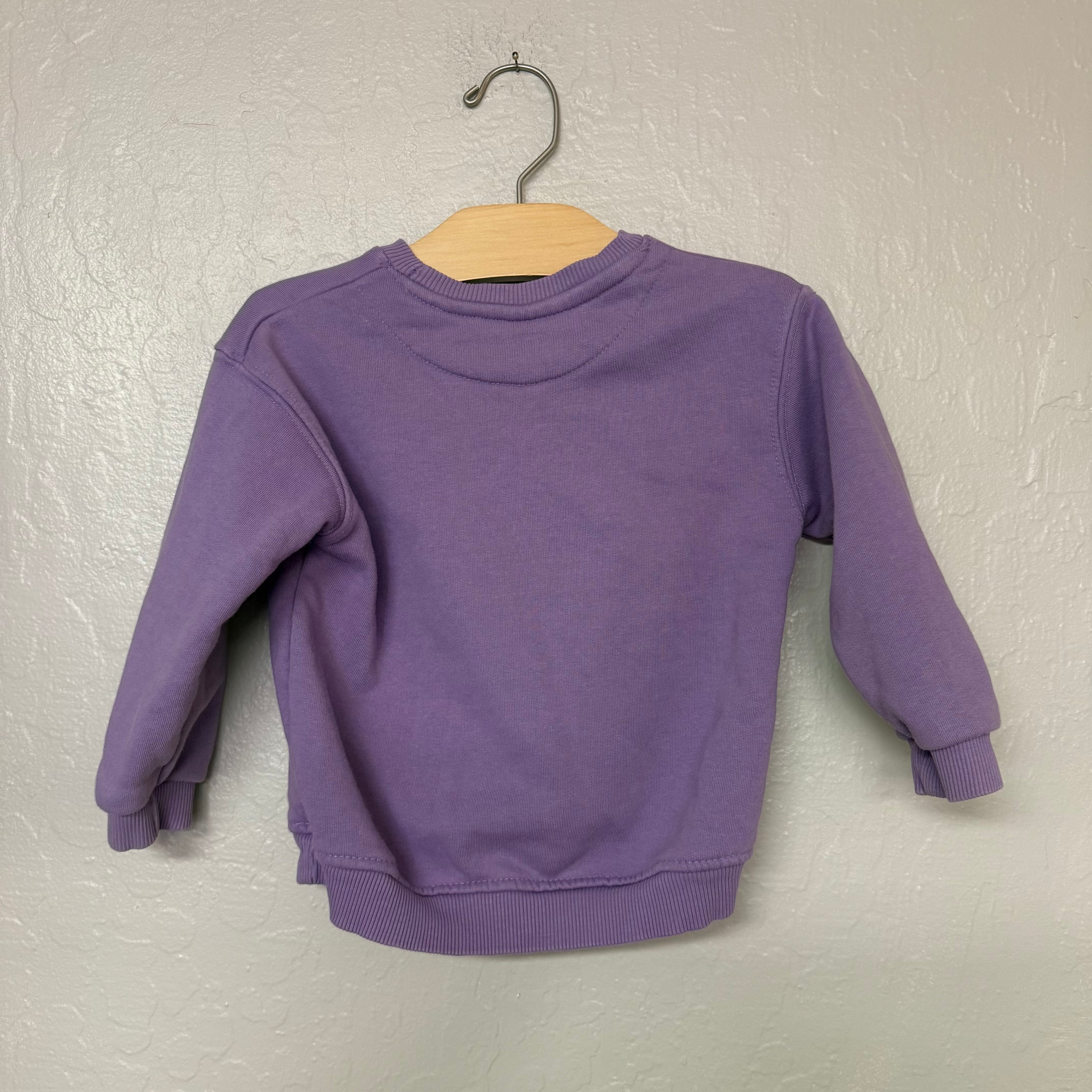 zara girls purple crewneck 2-3Y
