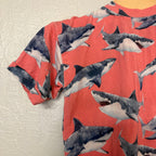bums and roses set pink shark pint top matching blue shorts 3Y