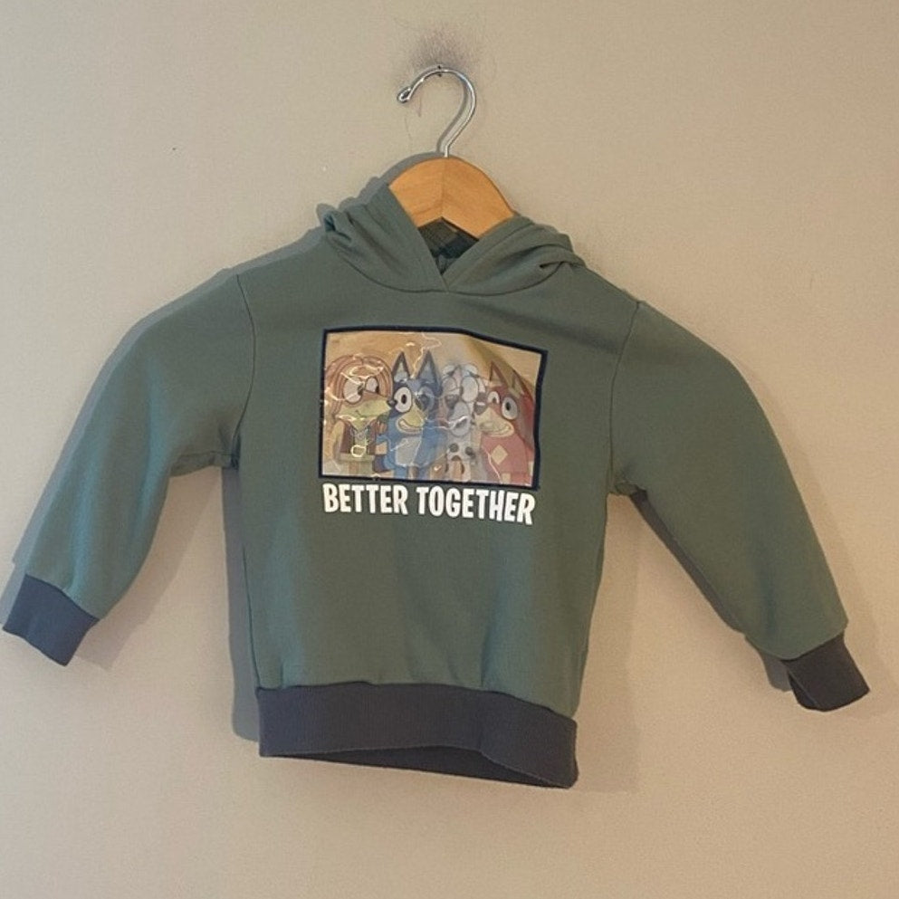 bluey hoodie hologram 3T