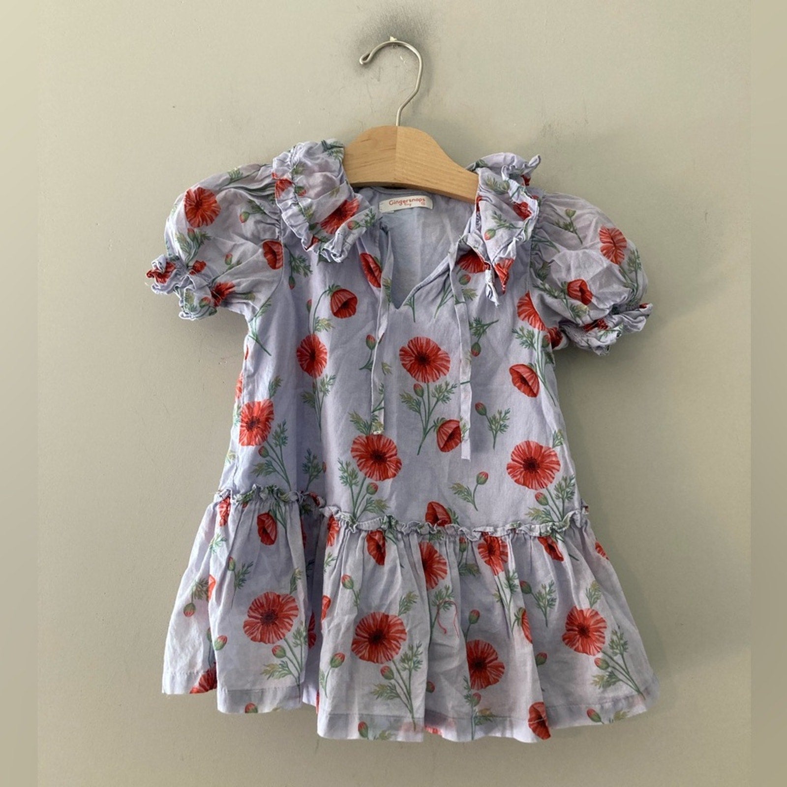 gingersnaps girls' floral dress 18M