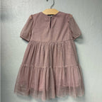 baby gap pink tulle dress 5Y